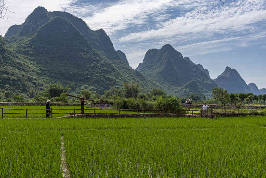 China - Yangshuo 24 - arrozales.jpg